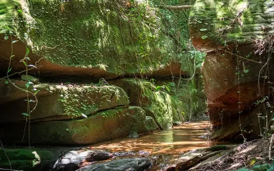 What to See on Phnom Kulen: A Complete Guide